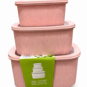 Food Storage Container