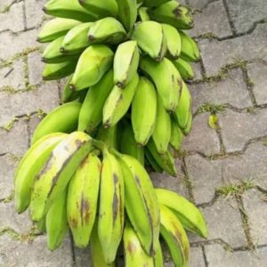 Indonesia Banana