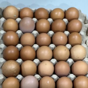 Eggs
