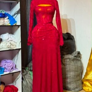 Classy mesh gown